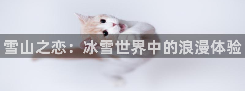 球友体育直播官网入口：雪山之恋：冰雪世界中的浪漫体验
