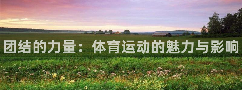 球友体育app下载官网：团结的力量：体育运动的魅力与影响