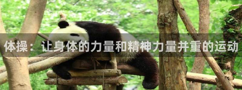 球友体育入1335 top：体操：让身体的力量和精神力量并重的运动