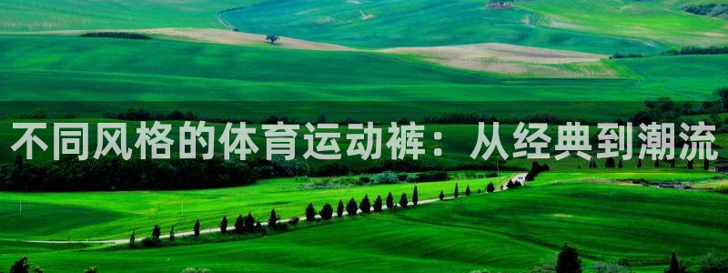 球友体育app官方下载：不同风格的体育运动裤：从经典到潮流