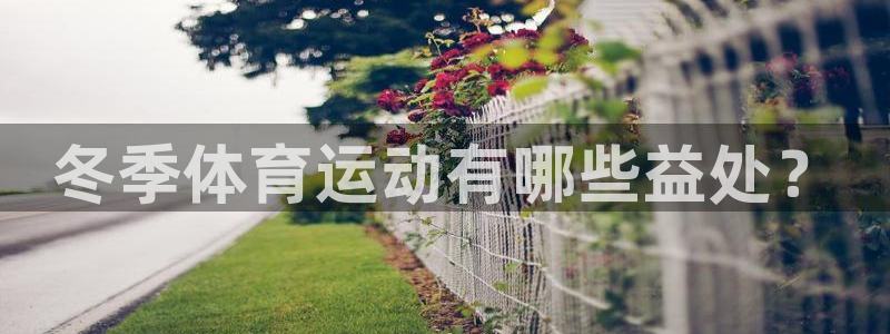 球友体育app官方下载最新版本2024：冬季体育运动有哪些益处？