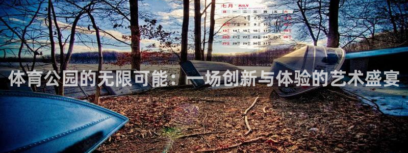 球友体育NBA在线观看：体育公园的无限可能：一场创新与体验的艺术盛宴
