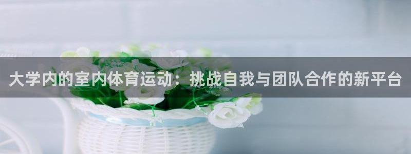 球友体育免费下载：大学内的室内体育运动：挑战自我与团队合作的新平台
