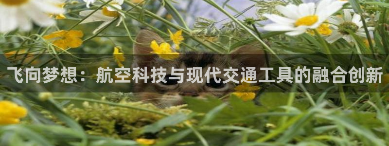 球友体育app官方下载手机版：飞向梦想：航空科技与现代交通工具的融合创新